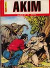 akim ns no 17 