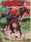 carabina no 134