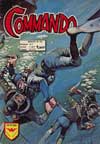 commando no 221