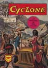 cyclone no 13
